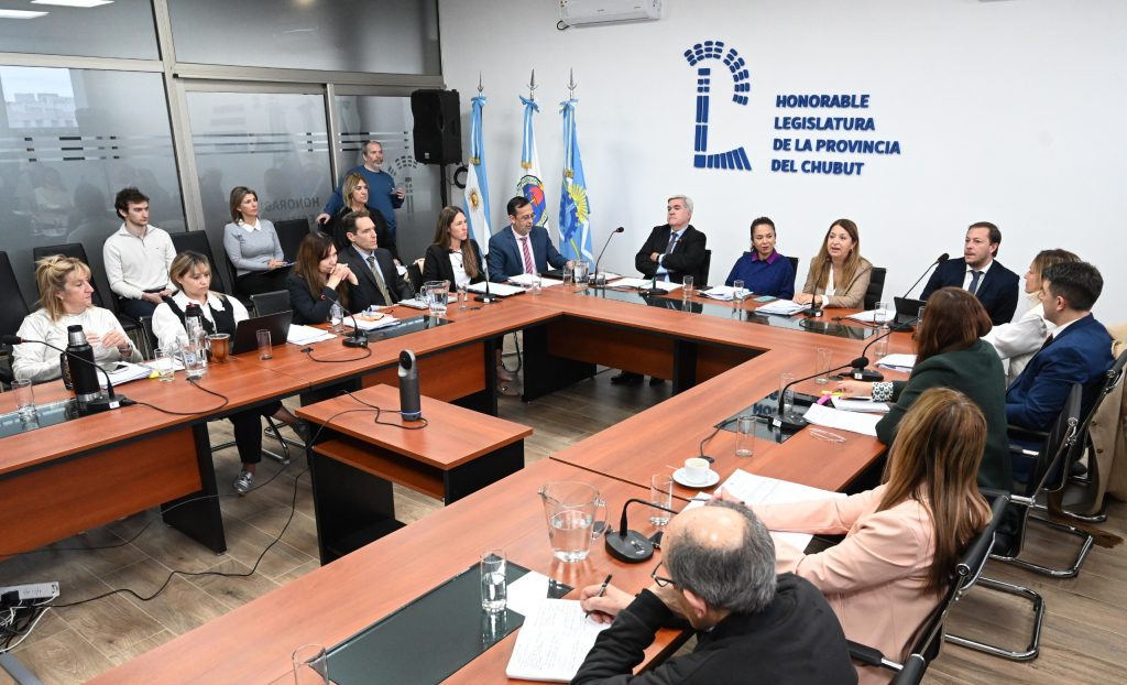 Se realiza en la Legislatura nueva reunión informativa sobre el proyecto que regula las nuevas herramientas tecnológicas para investigar, prevenir y luchar contra delitos complejos y la cibercriminalidad