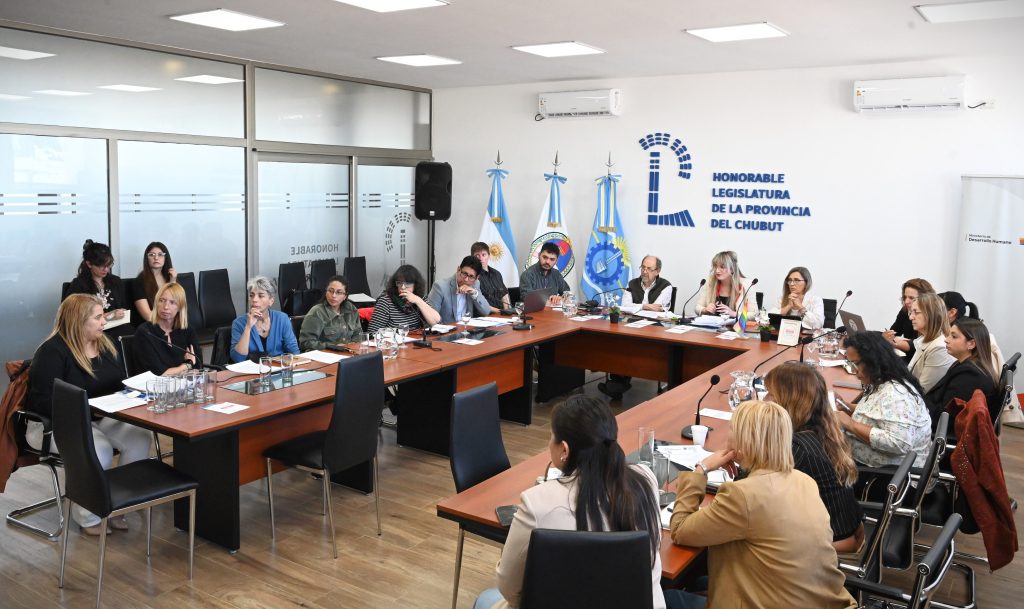 La Mesa Provincial de Enlace Interpoderes realizó su última plenaria de 2026 en la Legislatura del Chubut